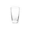 Egerton 15 oz. Glass Tumblers (Set of 4) - Elegant Drinking Glasses by Home Decorators Collection