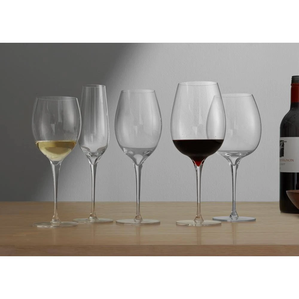 Nambe Vie 9 oz. Champagne Flute (2-Pack) - Elegant Modern Wine Glasses 4 Nambe Vie 9 oz. Champagne Flute (2-Pack) - Elegant Modern Wine Glasses - Image 4