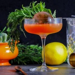 Mid-Century Modern 10 oz. Clear Coupe Glasses (Set of 4) by Rolf Glass - Elegant Drinking Glasses for Cocktails & Wine -Drinkware Shop rolf glass drinking glasses sets 502335 s4 44 1000